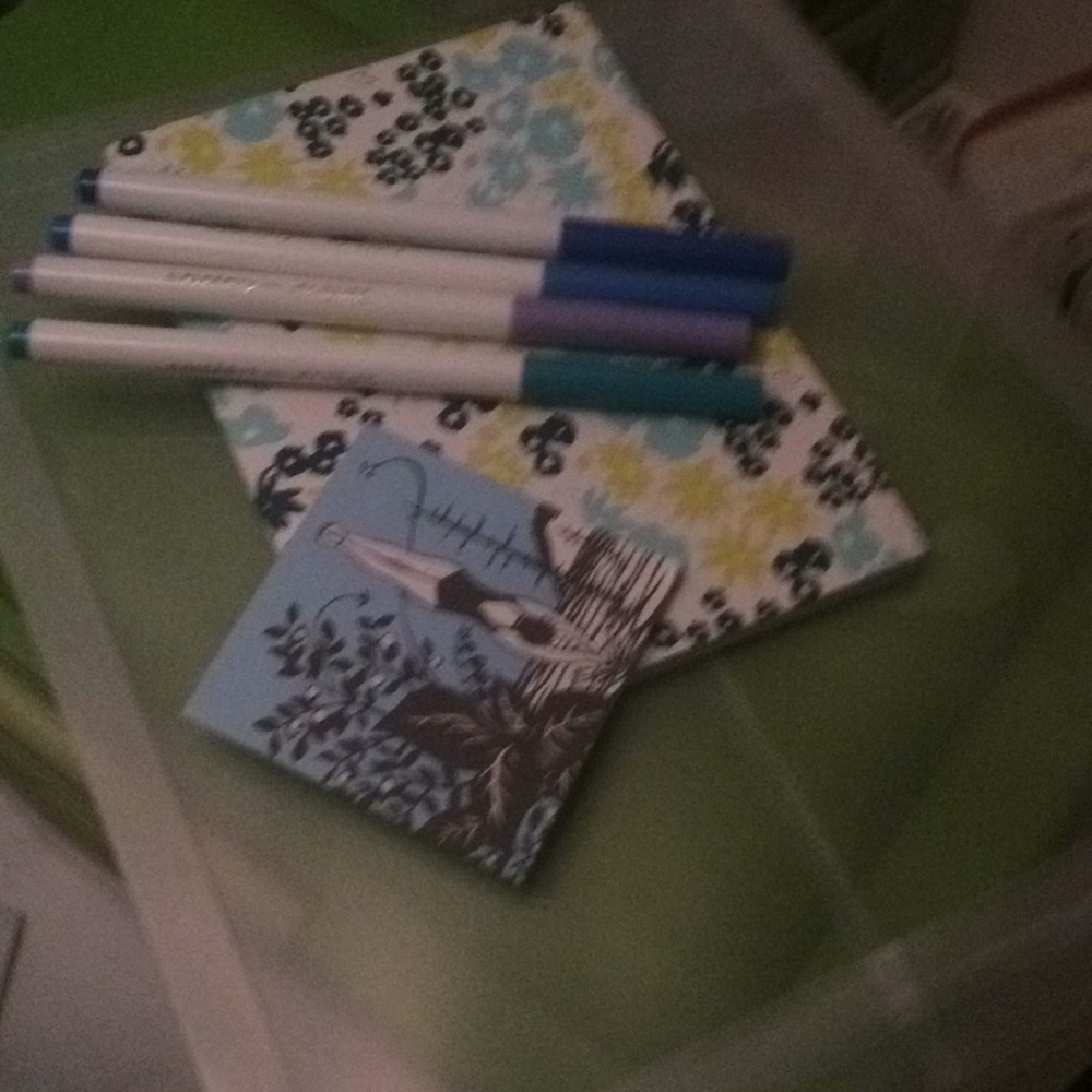 Chic School Supply Mystery Lot!